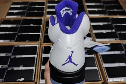 DD0587-141 Fashionable CONCORD Air Jordan5 587 0730
